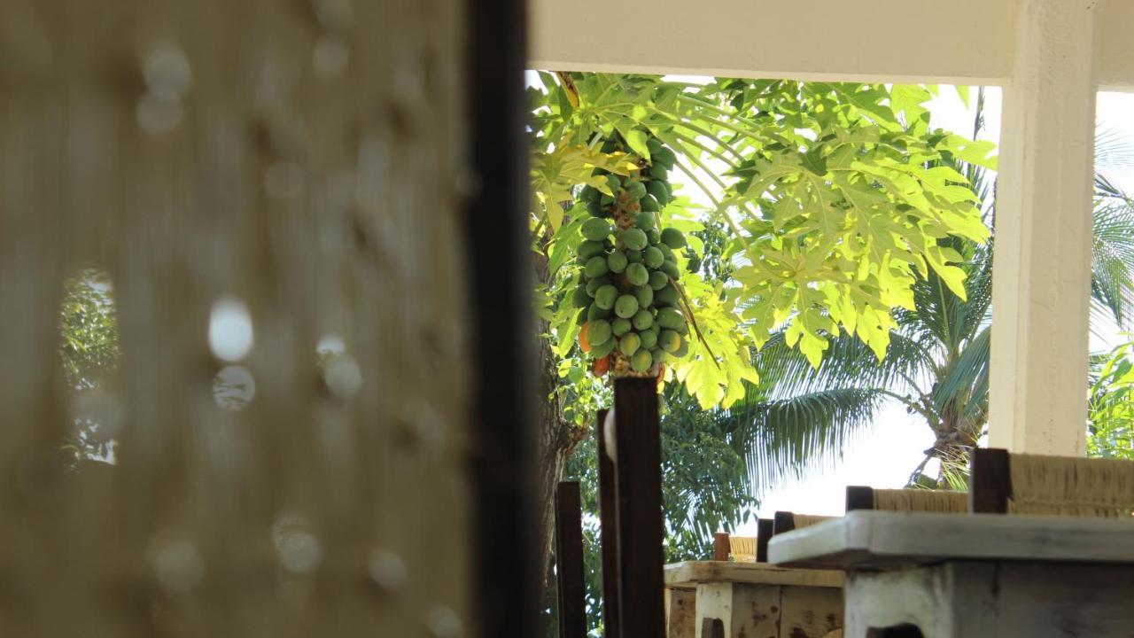 Casa De La Gente Nube Hotel Puerto Escondido  Luaran gambar